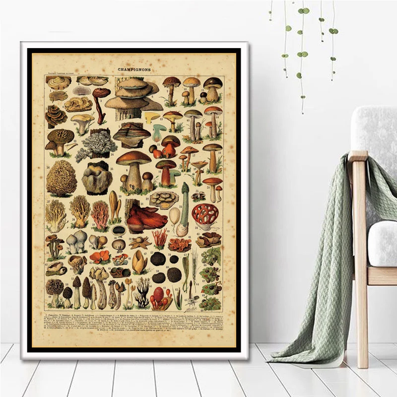 

Trippy Visual Mushroom Mind Education Canvas Painting Wall Pictures For Living Room Vintage Poster Decorative Home Decor