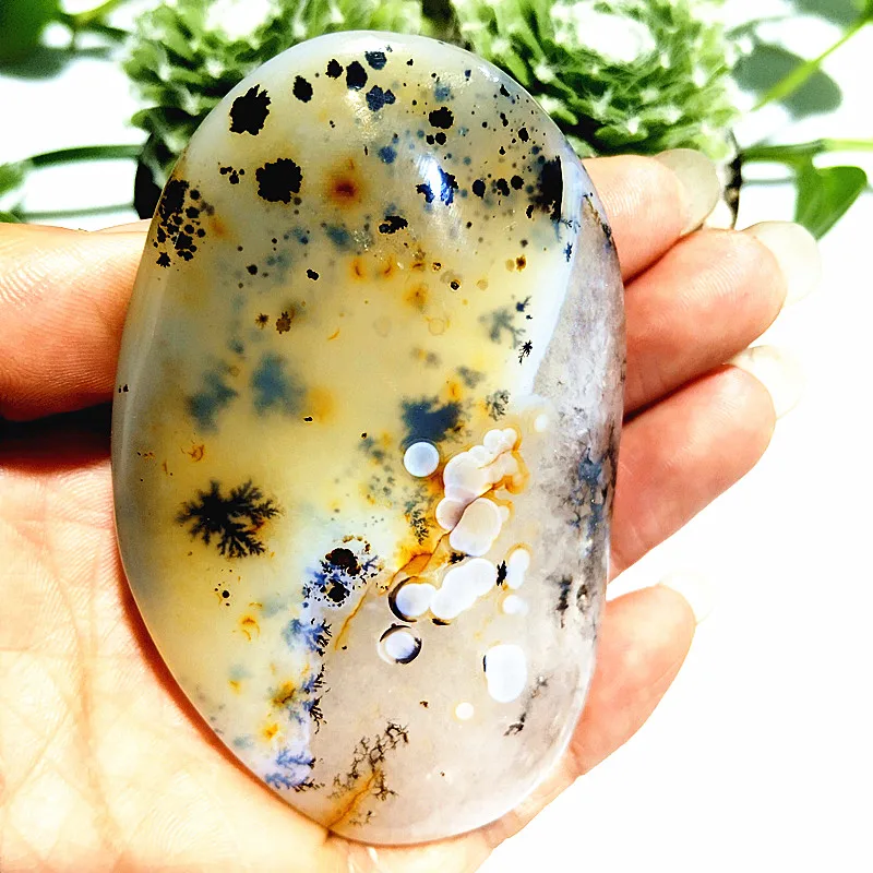 

Natural Stone Waterplant Plant Agate Palm Stone plaything Meditation Spiritual Yoga Cure Home Feng Shui Crystal Ornament