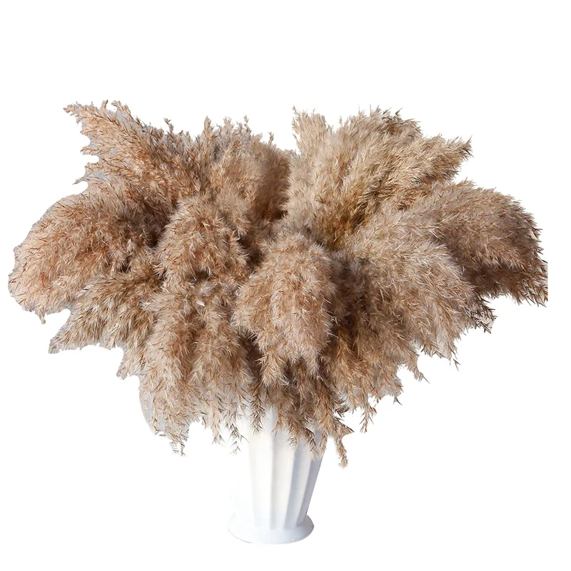 

30 Stems Dried Pampas Grass,Wild Pampas Grass Fluffy Pampas Floral,17 Inch Bulk Pampas Grass Decor Flowers Dried Plants