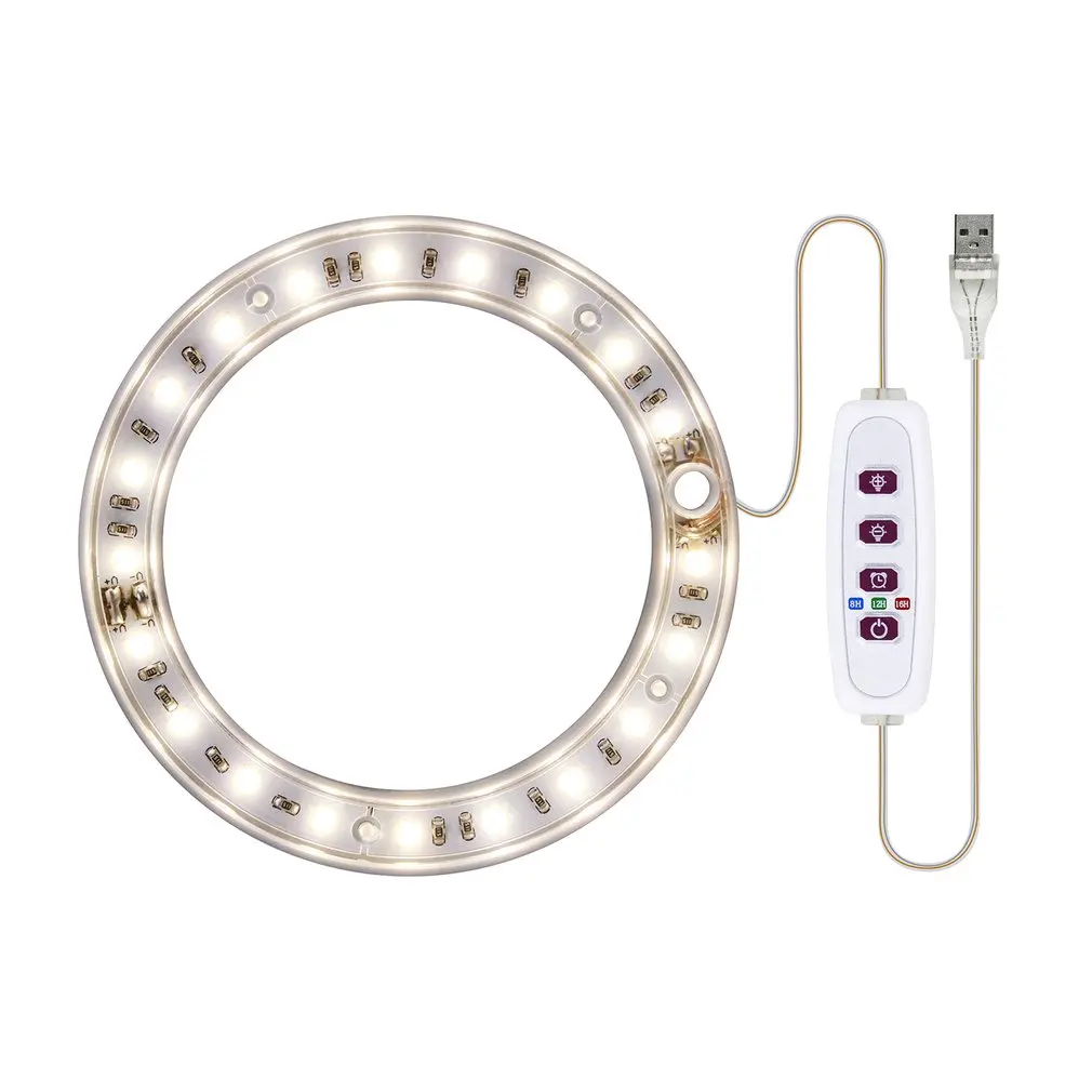 Рисунок 5 - Фонарь для выращивания растений