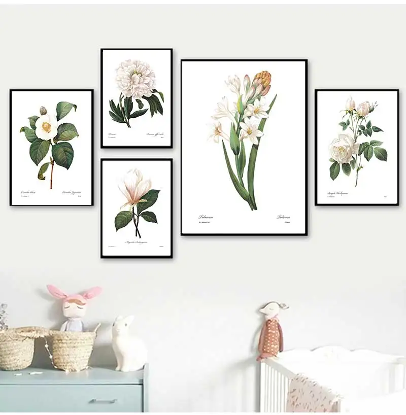 Постеры и принты розовых белых растений в цветочек ботаническая Картина на