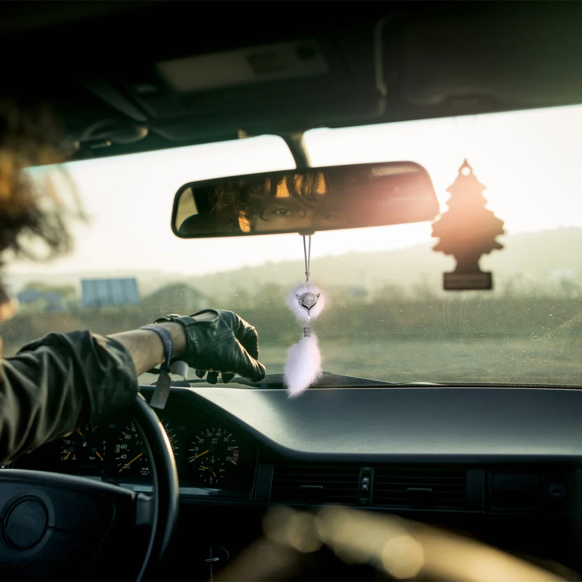 

Rhinestone Head Hanging Beautiful Plush Hanging Drop for Car (1pcs Balls Pattern)