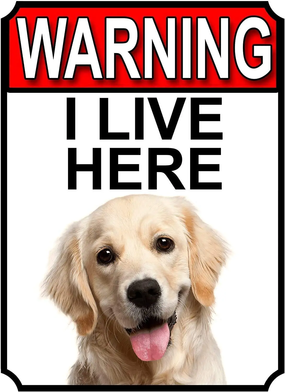 

Funny Warning Signs Metal Safety Signs for Home 12X8in, Warning I Live HERE Metal GATE Sign Golden Retriever,Art Decor for