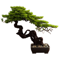 artificial new chinese style pine bonsai fake trees green plant living room and hotel hallway decorations model room soft