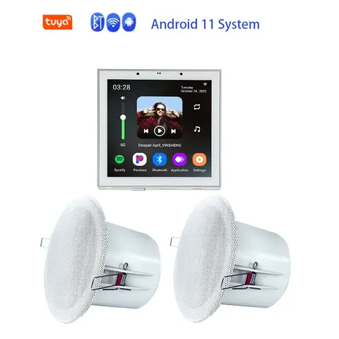 4-дюймовый комплект Android 11 Tuya для умного дома, Wi-Fi, Bluetooth, двусторонний домашний кинотеатр, цифровой стерео аудио, музыкальный настенный усилитель