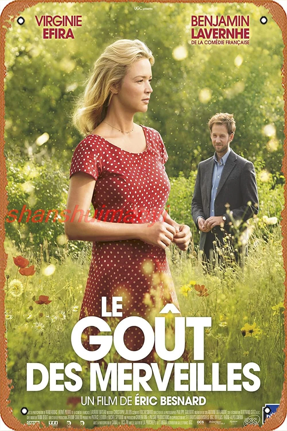 Металлическая вывеска Le goativo des merveilles (2015) Плакат Винтажная металлическая