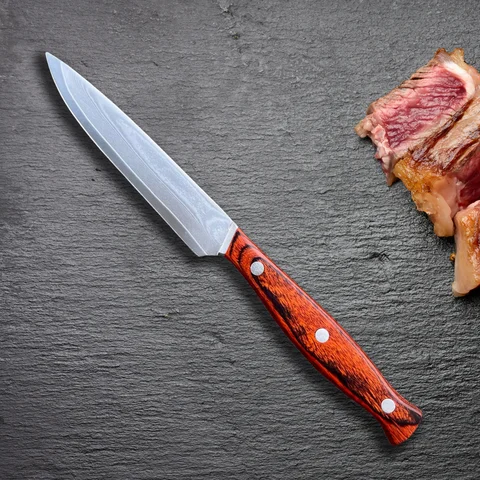 Универсальный нож из дамасской стали, 67-слойный нож для стейка, кованое лезвие VG10, долговечный нож для фруктов с острым лезвием, нож для ежедневного использования