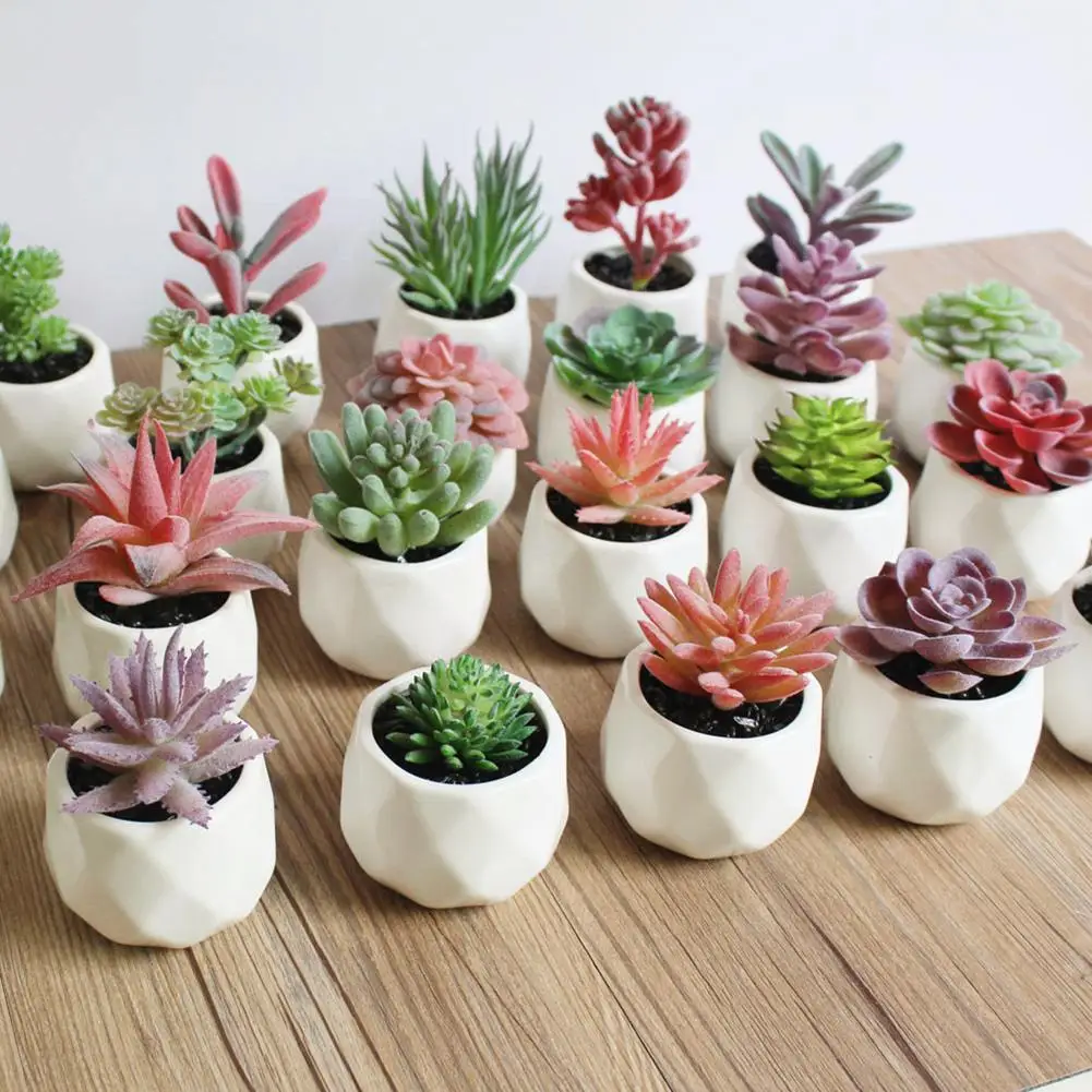 Mini Cactus Succulent Home Garden Decoration Artificial Bonsai Plant with Vase for Office Table Decor Indoor Fake Plants
