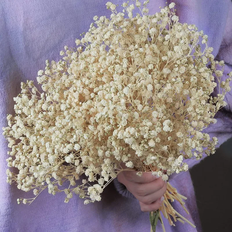 

Natural Dried Flowers Preserved Gypsophila Paniculata Baby's Breath Flower Bouquet Wedding Home Decor for Photo Props Decoration
