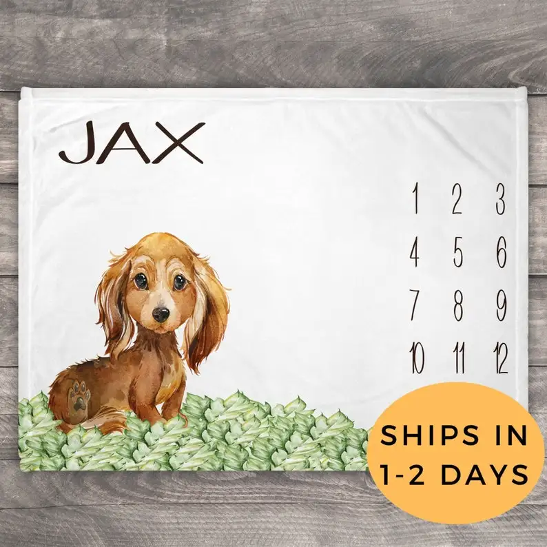 

Long haired Dachshund, Puppy Blanket, Kids Personalized Blanket, Dog Blanket, Friend Gift Dog Lover, Personalized Baby Blanket W