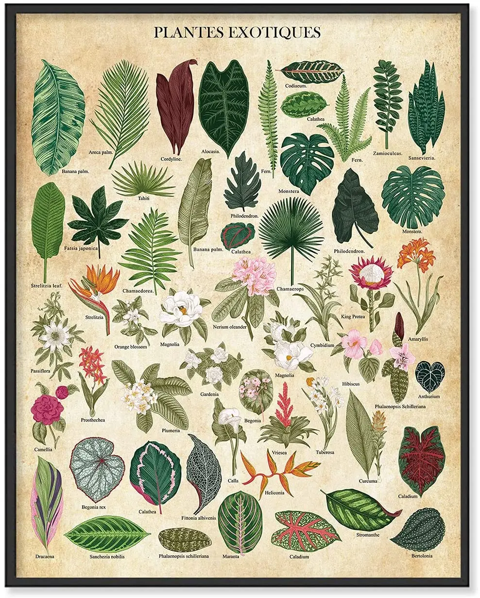 

Ботаническая стена, настенное искусство с растениями, винтажная растительная печать, принты растений, постер с природой, Цветочный постер, ...