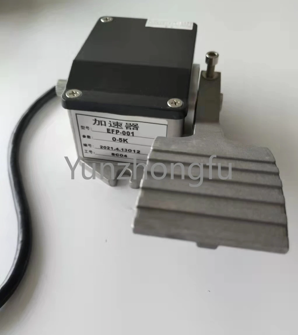 Рисунок 2 - Электрический автомобильный ускоритель