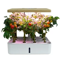 smart hydroponics indoor smart garden flower pot with led growing light flowerpot