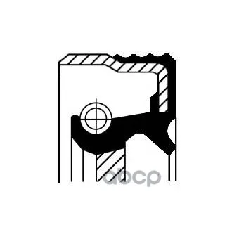 Сальник Коленвала Fr Citroen Jumpy 95 /Peugeot Expert 96 06/Fiat Ducuto 64 020 Corteco арт. 12015854B| |