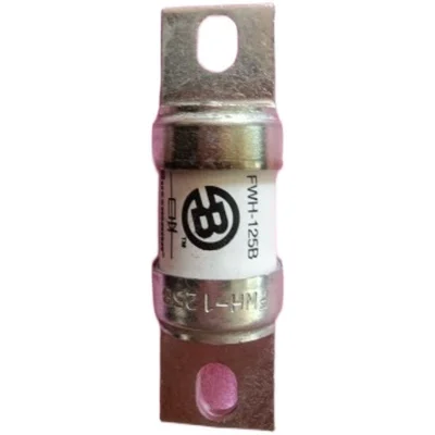 

100%NEW ORIGINAL 1 Year Warranty FWH-125B 125A 500VAC/DC