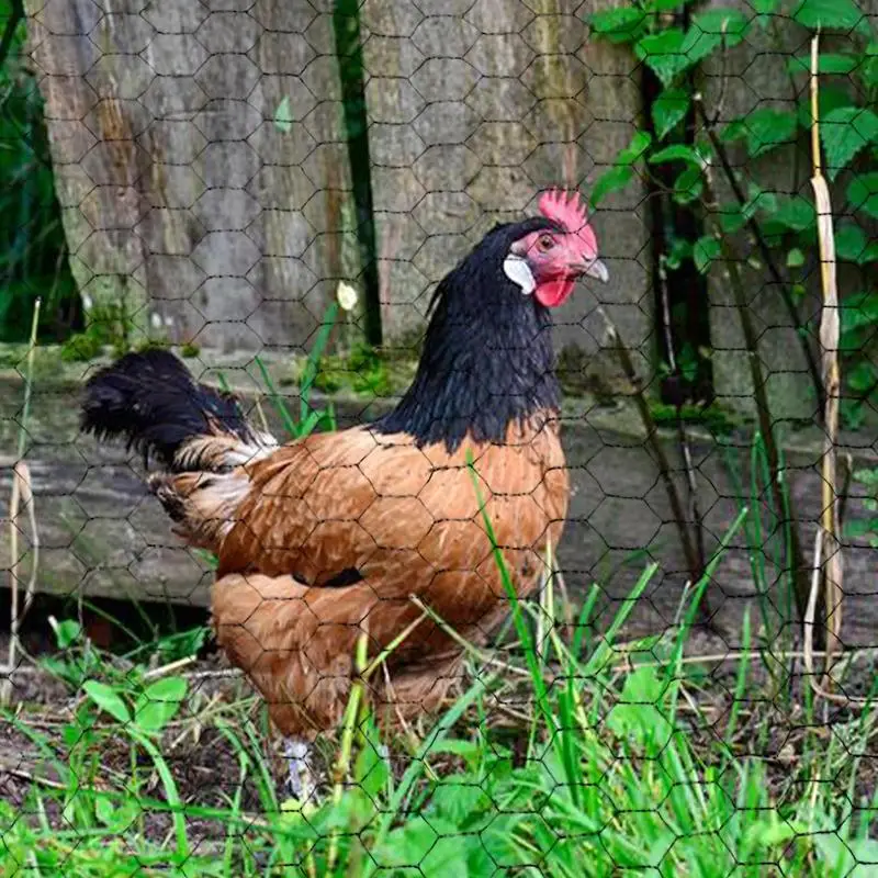 Сетка из проволоки для курицы оцинкованная металлическая сетка с шестигранным