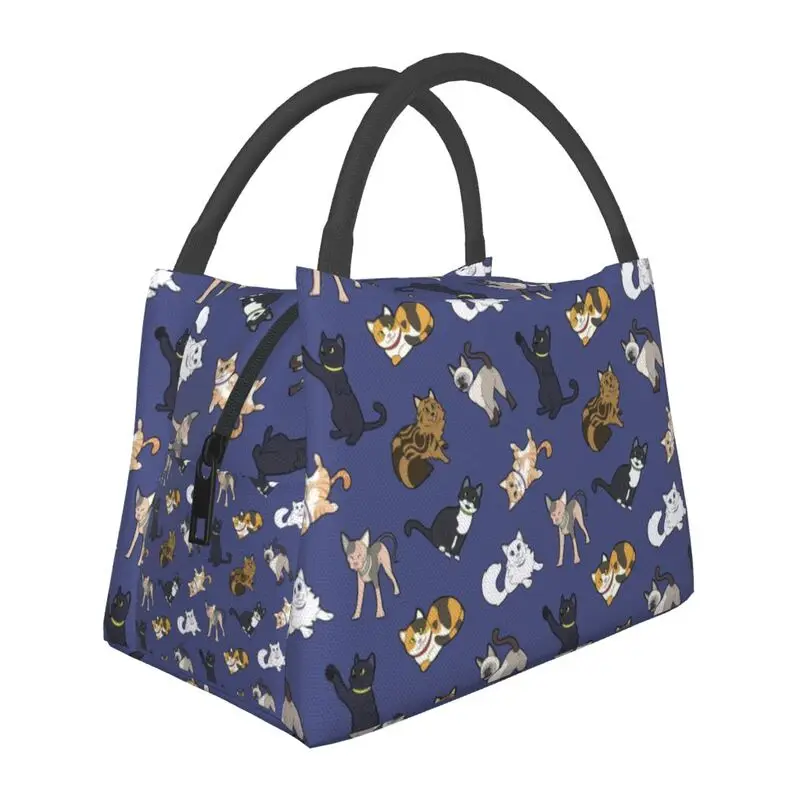 

Hand-held insulated refrigerated simple style lunch bag is convenient attractive, cute, suitable for family friends picnics