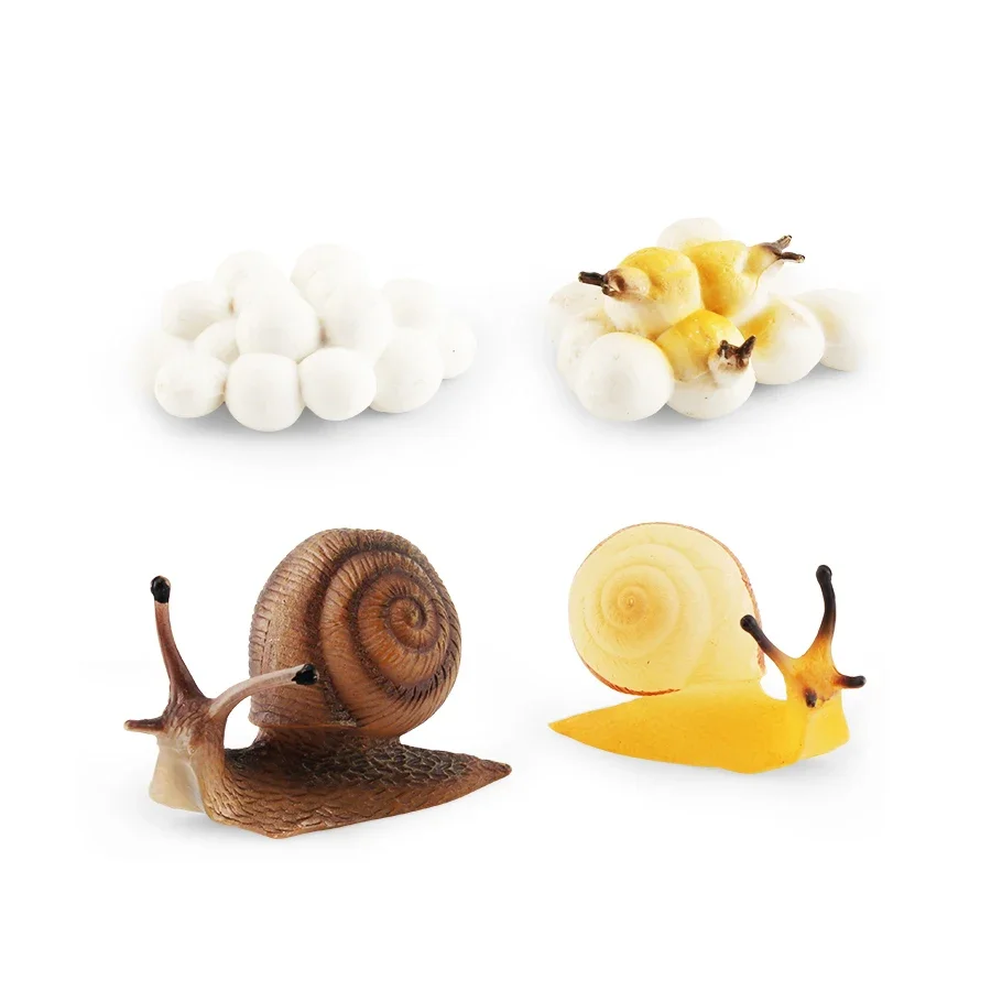 Симуляция животных детские игрушки с жизненным циклом учебное пособие по