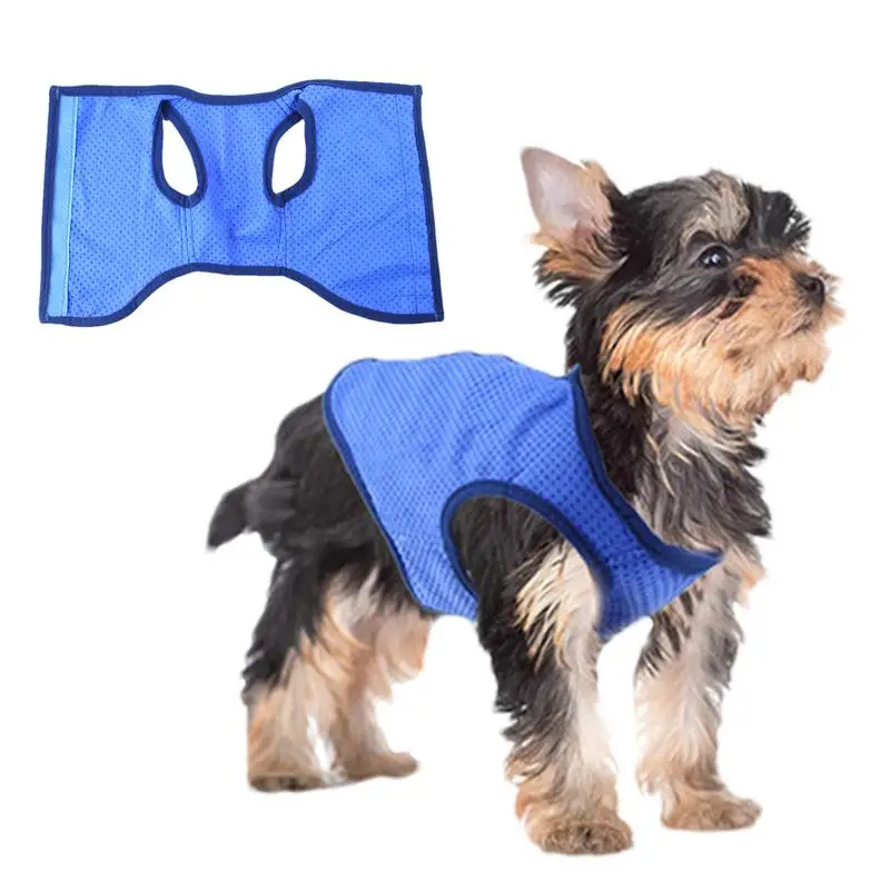 psa na lato. Oddychająca szybkoschnąca kamizelka chłodząca. Wygodna przyjazna dla skóry psa. Modna odzież zwierząt 2024.