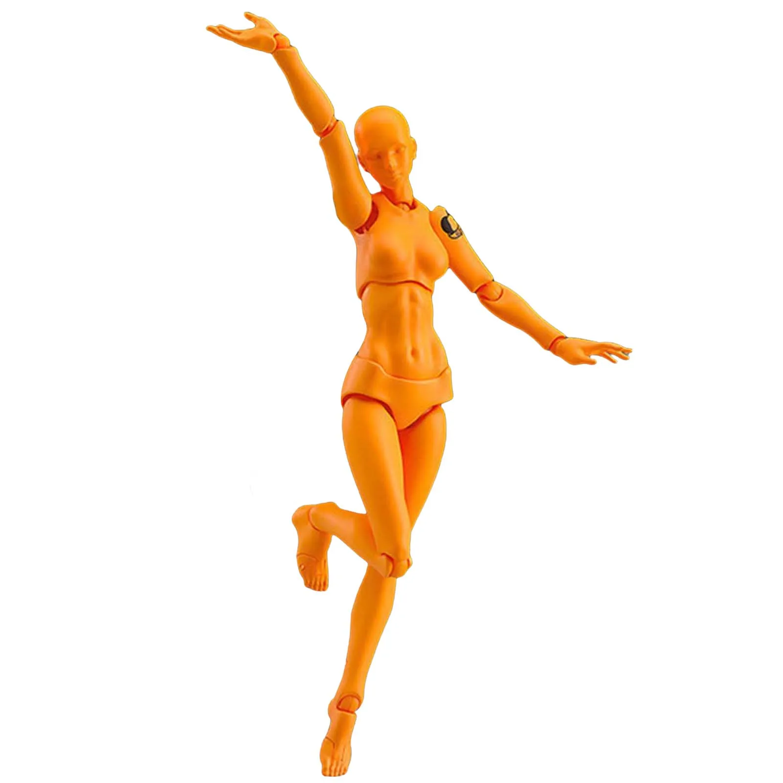

Human Body PVC Figure Model Movable Joints Drawing Mannequin Figure Models for Students Educational Toys
