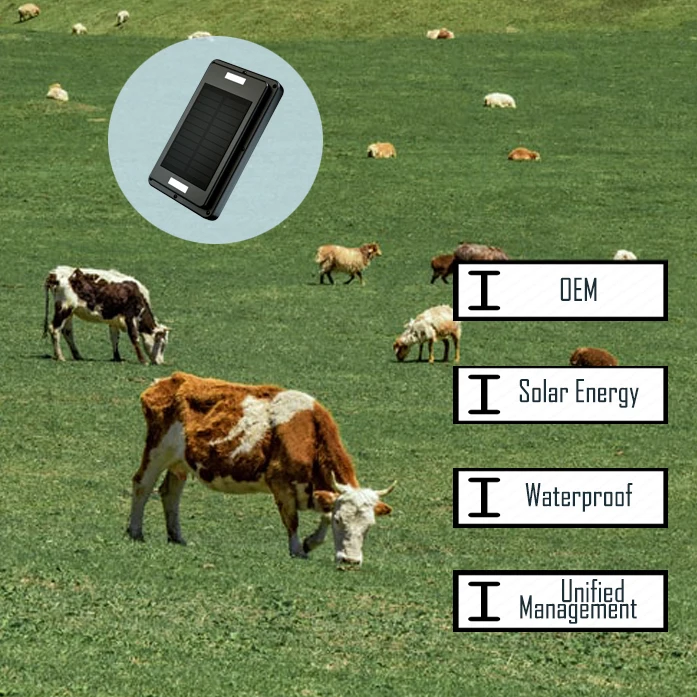 

Hot Selling Big Animals Solar Energy Real Time Tracking 20000Mah Gps Tracker 4G Pet Animals Tracker