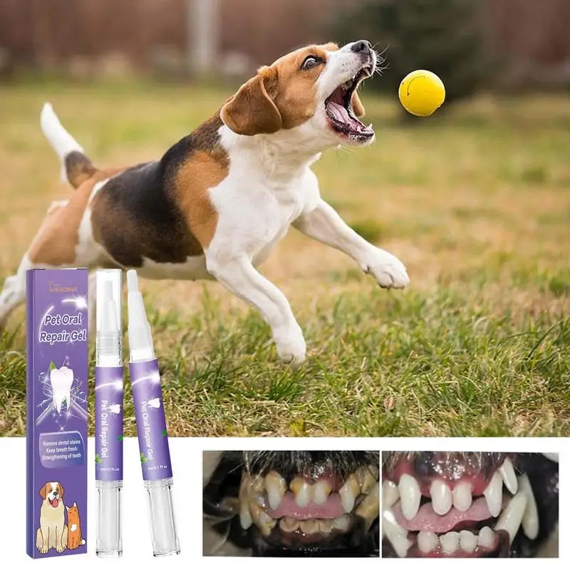 

Pets Teeth Cleaning Pen Dogs Cats Tartar Remover Stones Scraper Cleaning Tools Remove Teeth Stains Gel Pet Oral Care