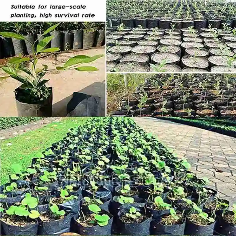 

100 Pcs PE Plastic Nursery Bags Plant Grow Bags Seedling Garden Vegetables For Fruits Holes Breathable Flowers With Pots X8Y1