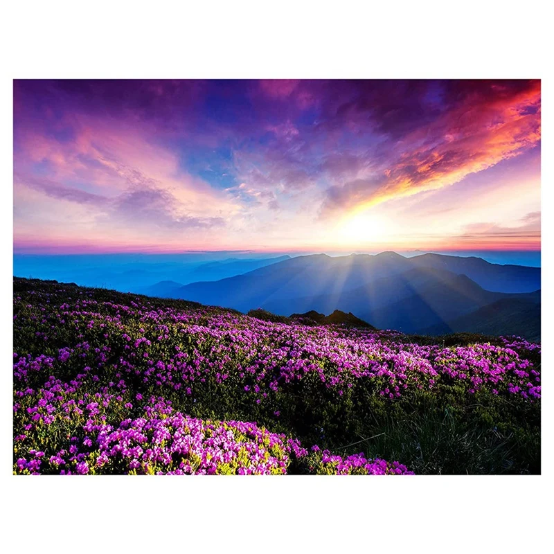 

Набор для алмазной живописи «Восход солнца»