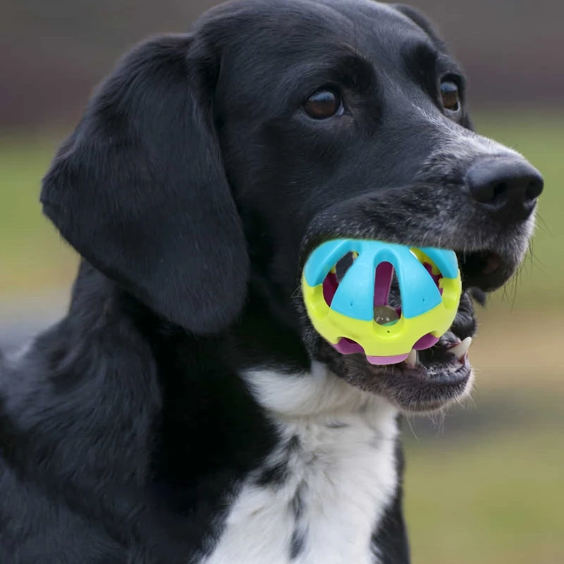 Dog Toy Interactive Training Ball with Ringing Bell Inside 3 Inch Colorful Plastic Hollow Balls Dog Accessories Pet Products