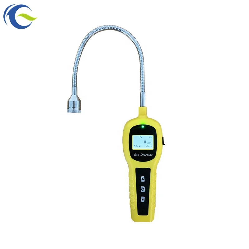 

Portable CH4 LPG Natural Gas Leak Detector for Pipeline
