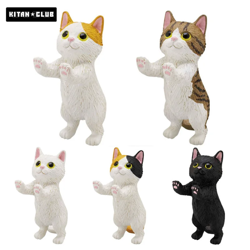 

Original Kawaii Kitan Club Gashapon Capsule Toys Figure Cute Bunny Stand Cat Mini Animal Figurine Anime Decor Kids Gift