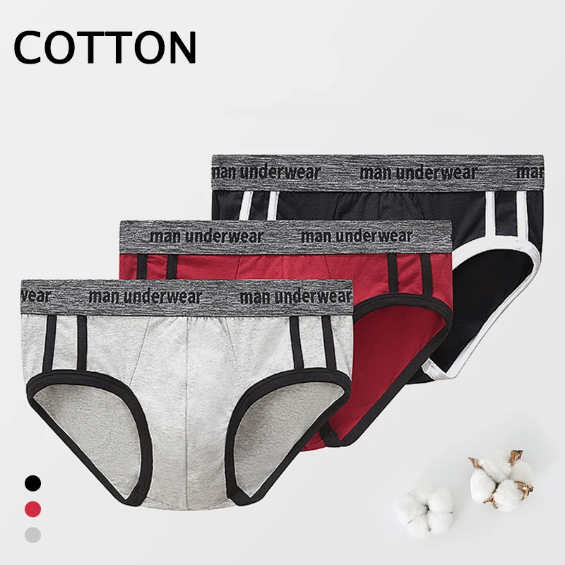 Men Briefs Cotton Underwear Sexy Lingerie Ropa Interior Hombre Panties High Quality Shorts Wholesale Lots Slip Homme Underpants