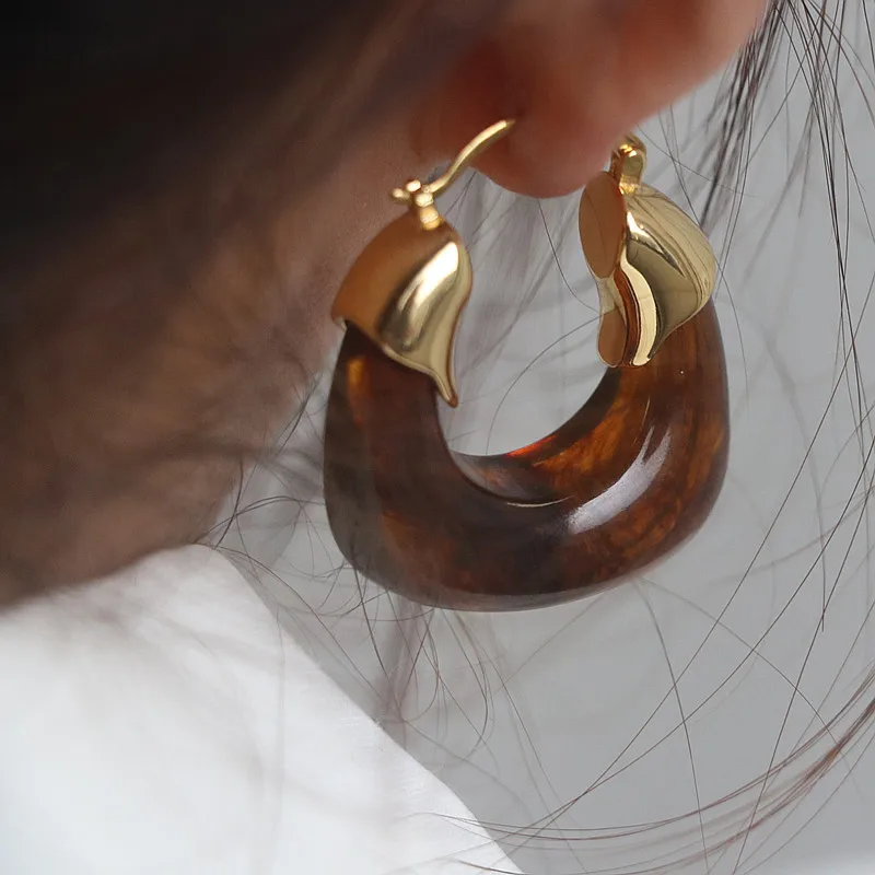 

Vintage Brown Earrings for Women Geometric Transparent Resin Gold Metal Piercing Ear Hoops Earring Party Trendy Jewelry