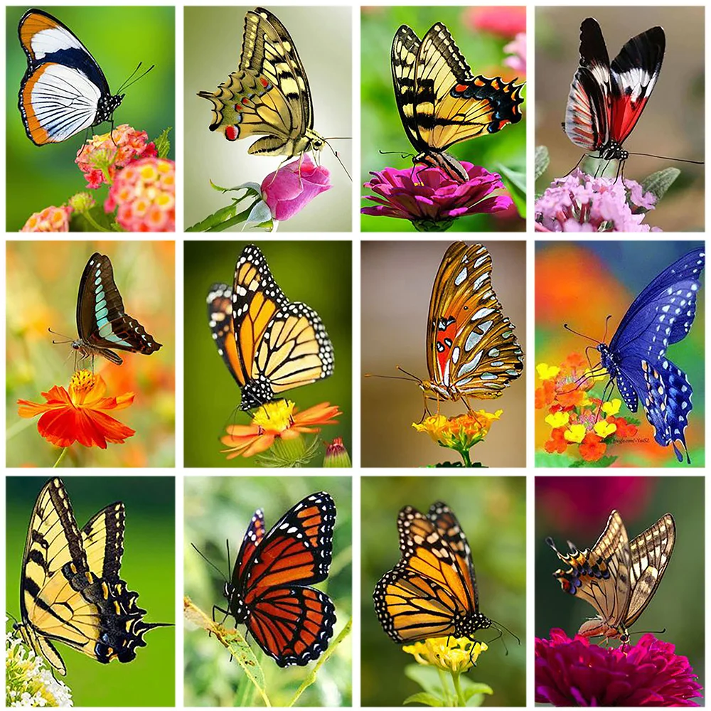 

Butterfly Diamond Painting Round Drill Animal New Arrival Flower Diamond Embroidery Home Decoration Mosaic Handmade