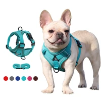 designer pet cat reflective leash luminous dog harness fashion breathable mesh comfortable chest and back suit dog accessories