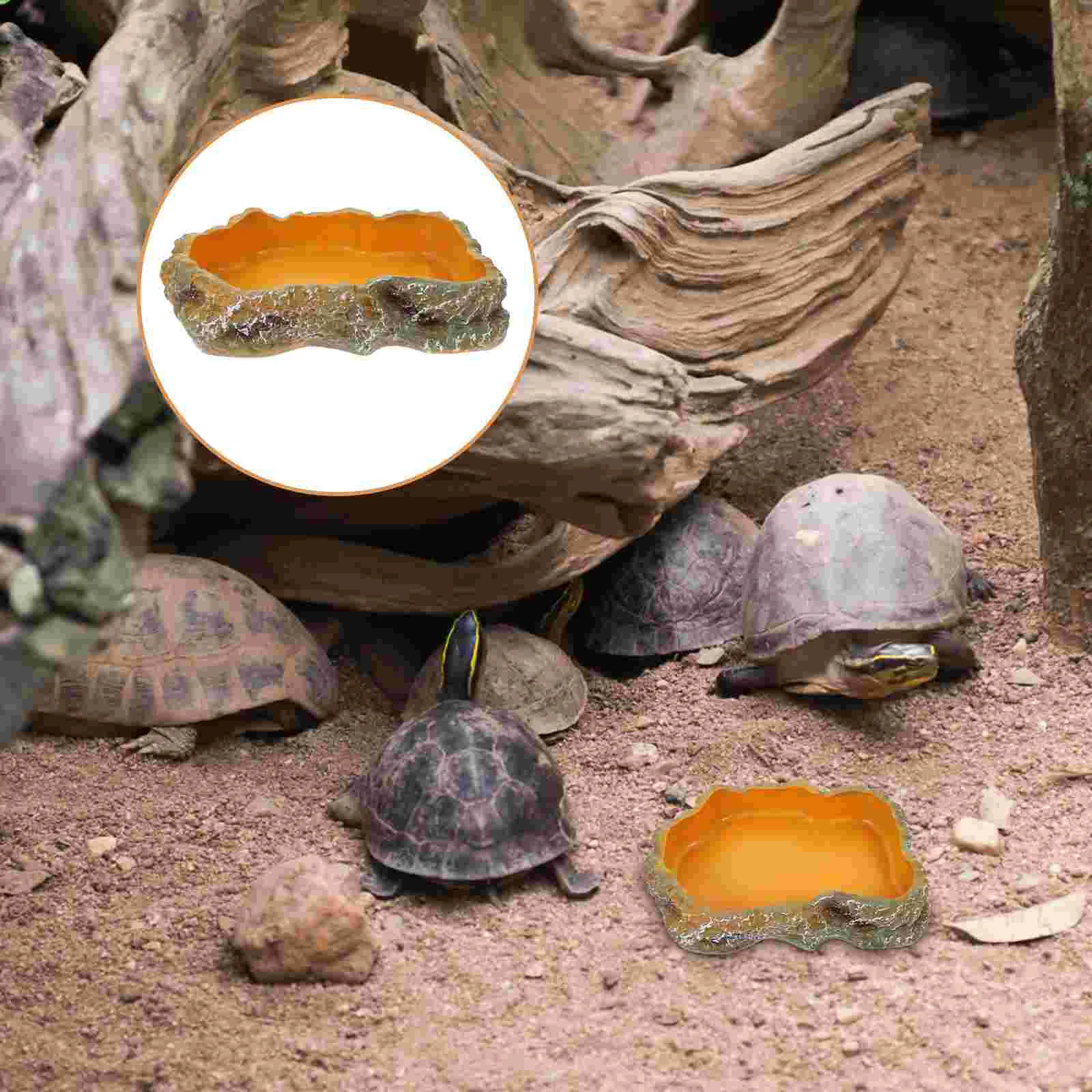 

Climbing Pet Food Bowl Terrarium Basin Tortoise Feeding Decor Snake Water Dish Fogger Bearded dragon accessories