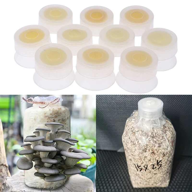 

10Pcs Edible Mushroom Sealer Mushroom Spawn Grow Bag Cap Lock Sponge Ring Sealable Garden Planter Tools