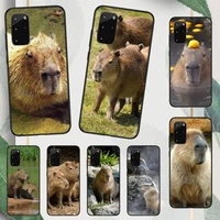 capybara cute animal phone case for samsung galaxy a s note 10 12 20 32 40 50 51 52 70 71 72 21 fe s ultra plus