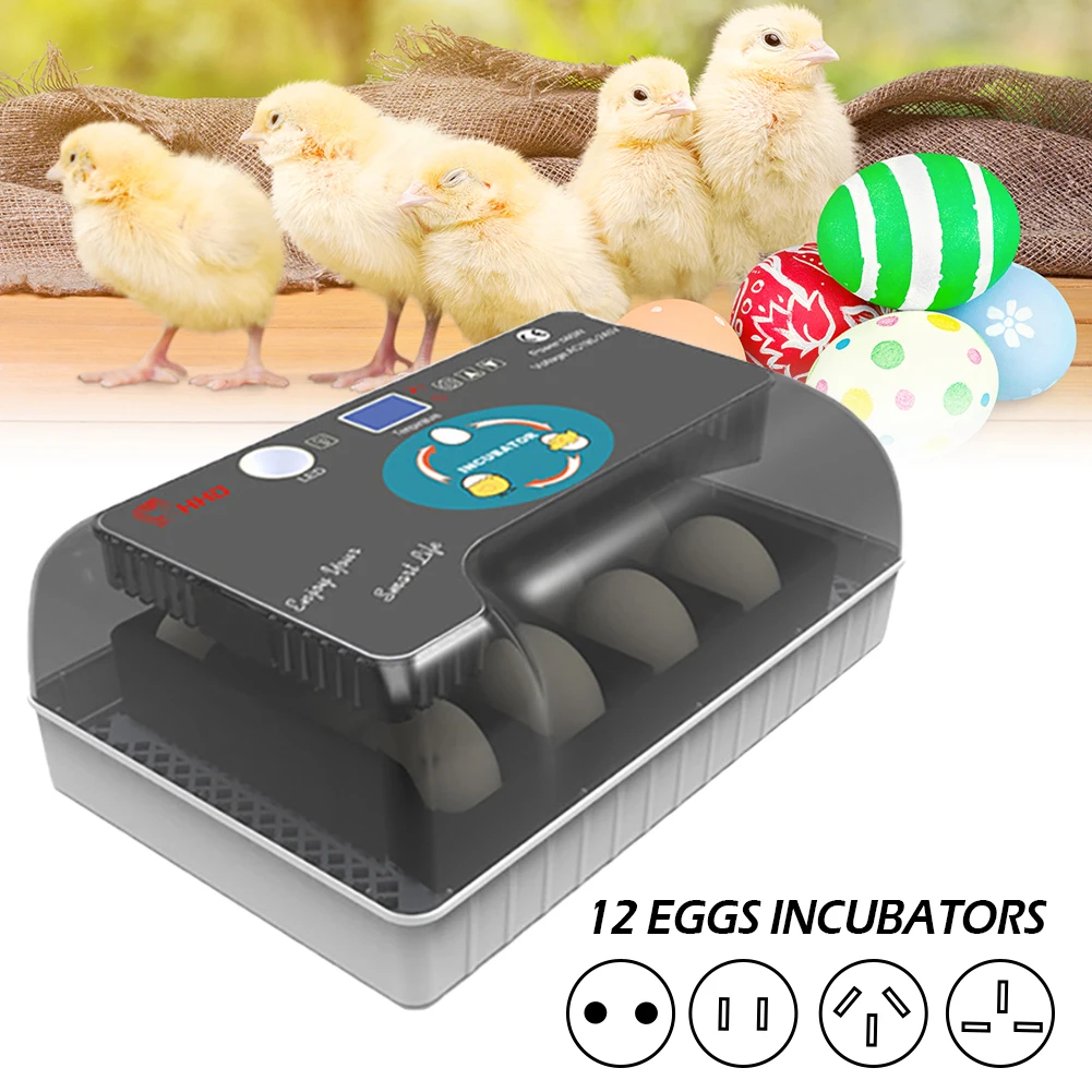 

Chicken Automatic Eggs Incubator Bird Quail Brooder Full Automatic Egg Incubator Eggs Hatchery Incubator Controller Thermostat
