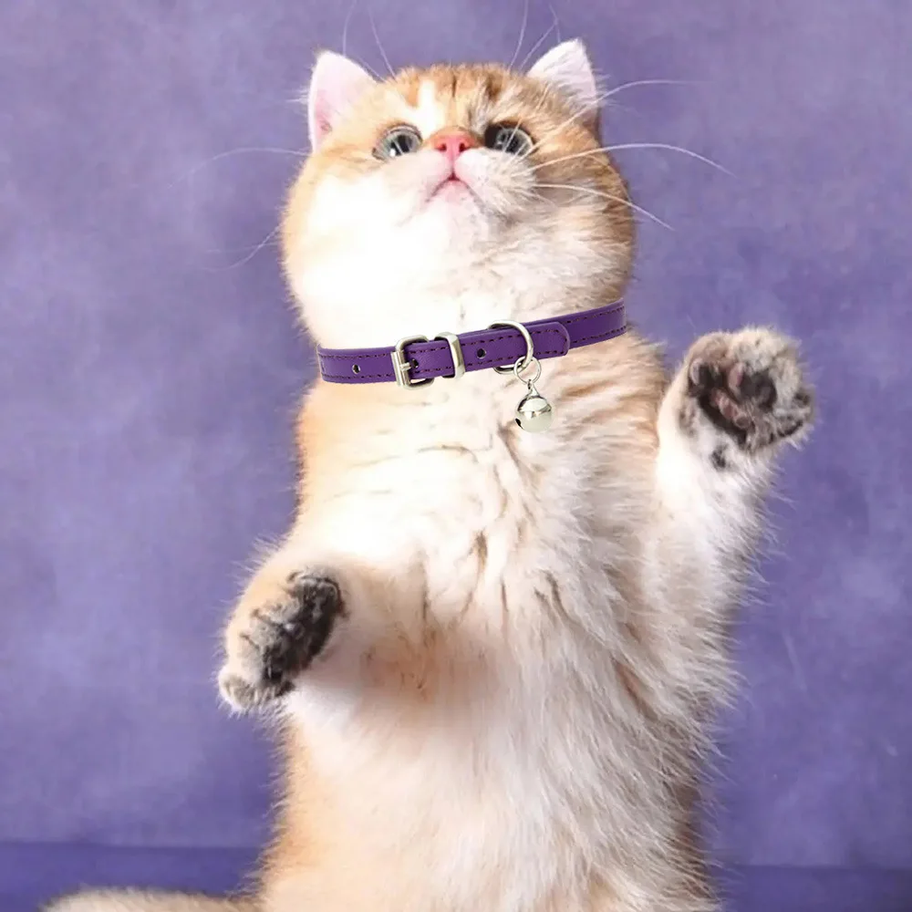 

Instagram Pet collar Puppy Japanese bell Cat simple collar Dog collar biker necklace Cat collar pet supplies