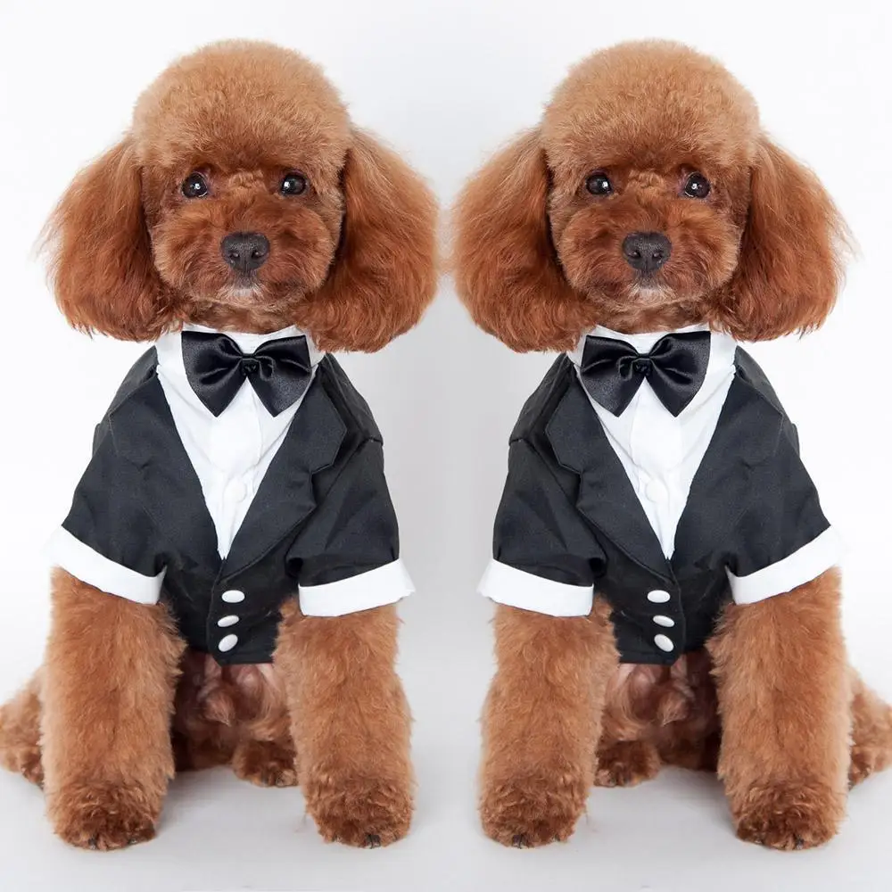 

Весенне-летняя Милая одежда для домашних животных