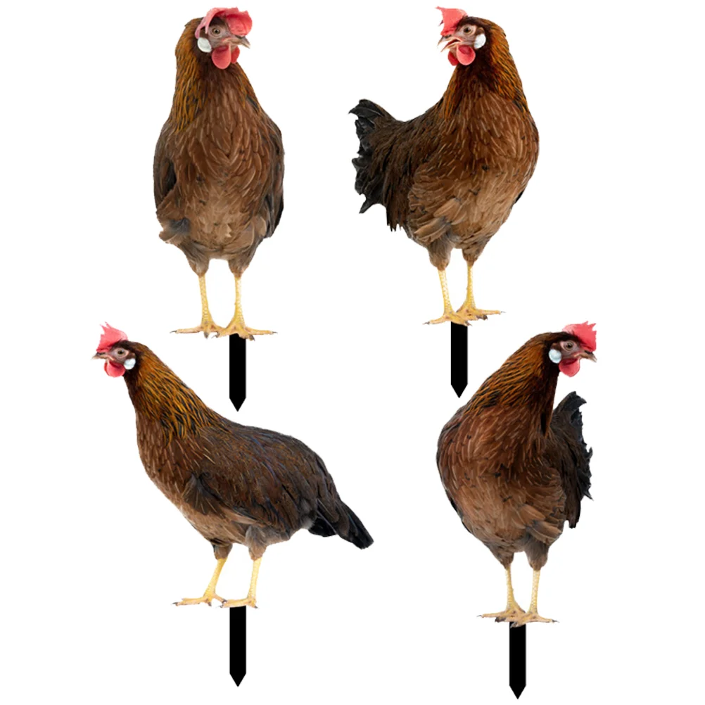 

4 Pcs Decorative Garden Inserts Yard Sign Chicken Yards Stake Out Door Decorate Acrylic Decoration Lawn Outdoor Signs