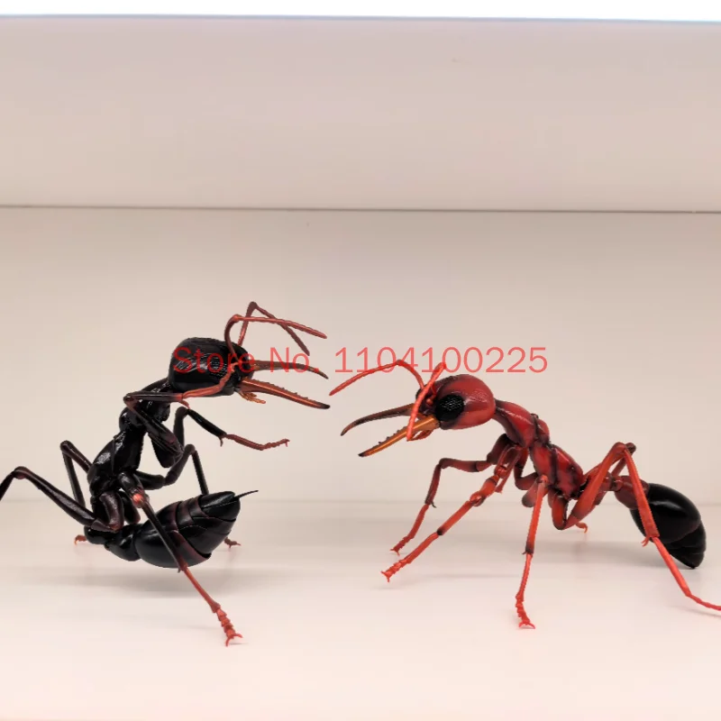 Фото Оригинальная коллекционная фигурка-модель Bandai: реалистичная имитация насекомого (оса, муравья Myrmecia Bulldog) — премиум-класс, высокая детализация, игрушка, украшение, подарок №4