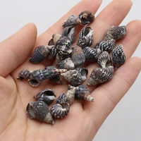 100g diy shell beads natural black conch shell bead without hole for jewelry making diy necklace bracelet clothes accessory