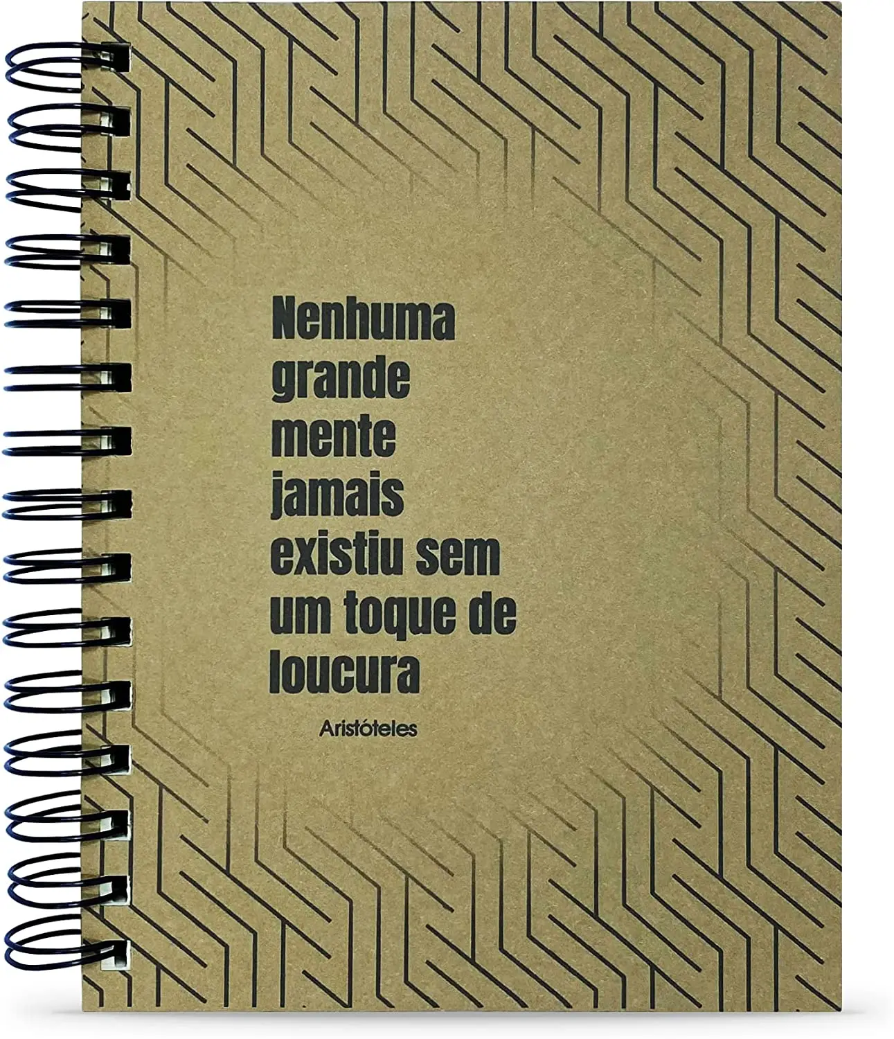 

Caderno Aristóteles "Nenhuma Grande Mente" 125 Fls. Capa Dura Tamanho 15x21cm notebooks com frete grátis