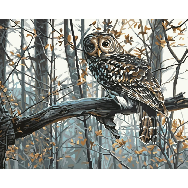 

owl Multicolored Animal DIY Painting By Numbers Wall Art Picture Acrylic Canvas Painting For Home Decoration Drop Shipping