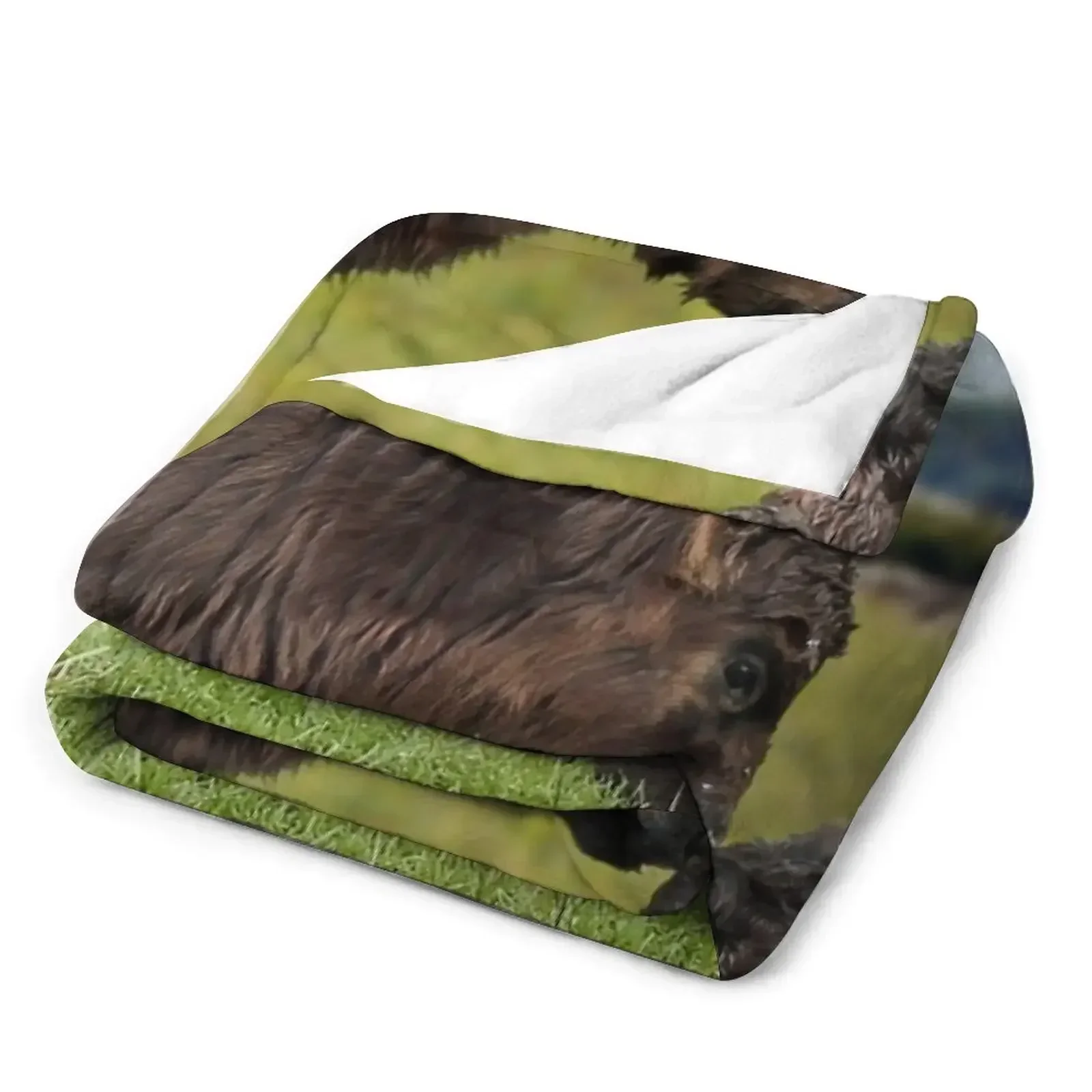 Одеяло Galloway с поясом туристические роскошные пледы и идеи подарков на День