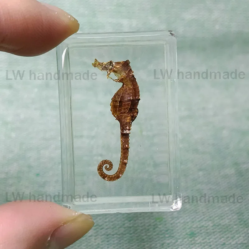 

Украшение из насекомых в смоле