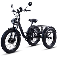 Трехколесный электро велосипед#1