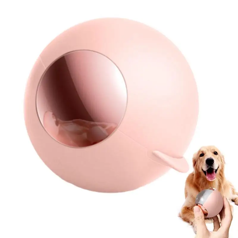 

Washable Hair Remover Portable Sticky Lint Roller Ball Multifunctional Fur Lint Remover Cleaner Lightweight Hair Remover Rollers